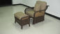 Rattan Conservatory Furniture , Resin Wicker Luxury Home Sofa Set